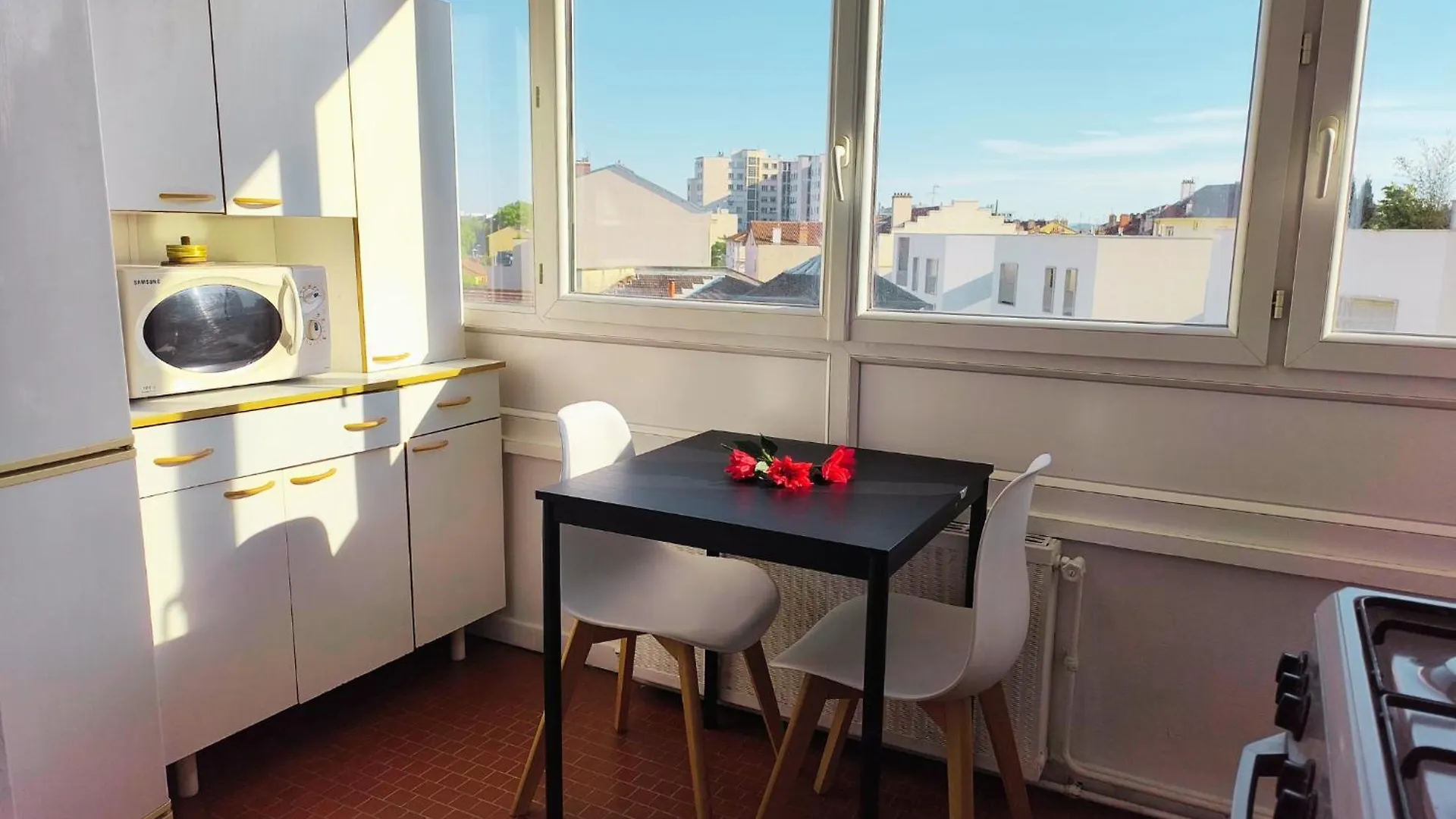 Grand Appartement Lumineux Et Central Lyon