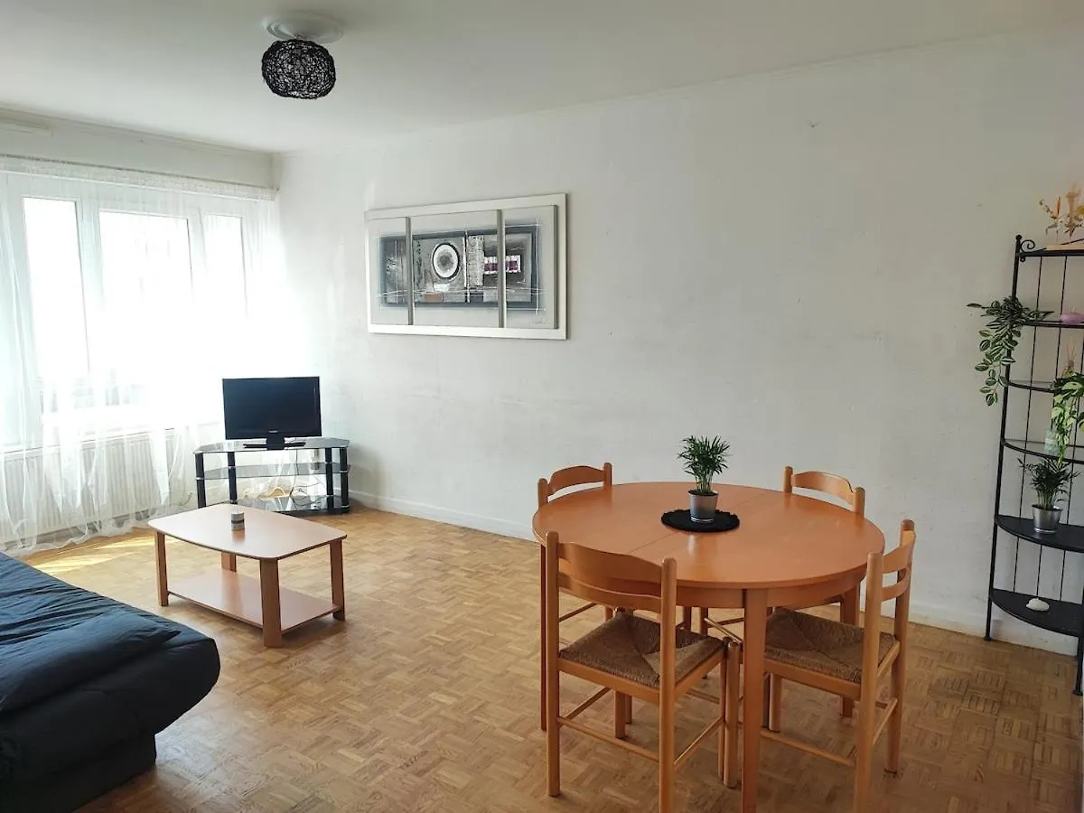 Grand Appartement Lumineux Et Central Lyon