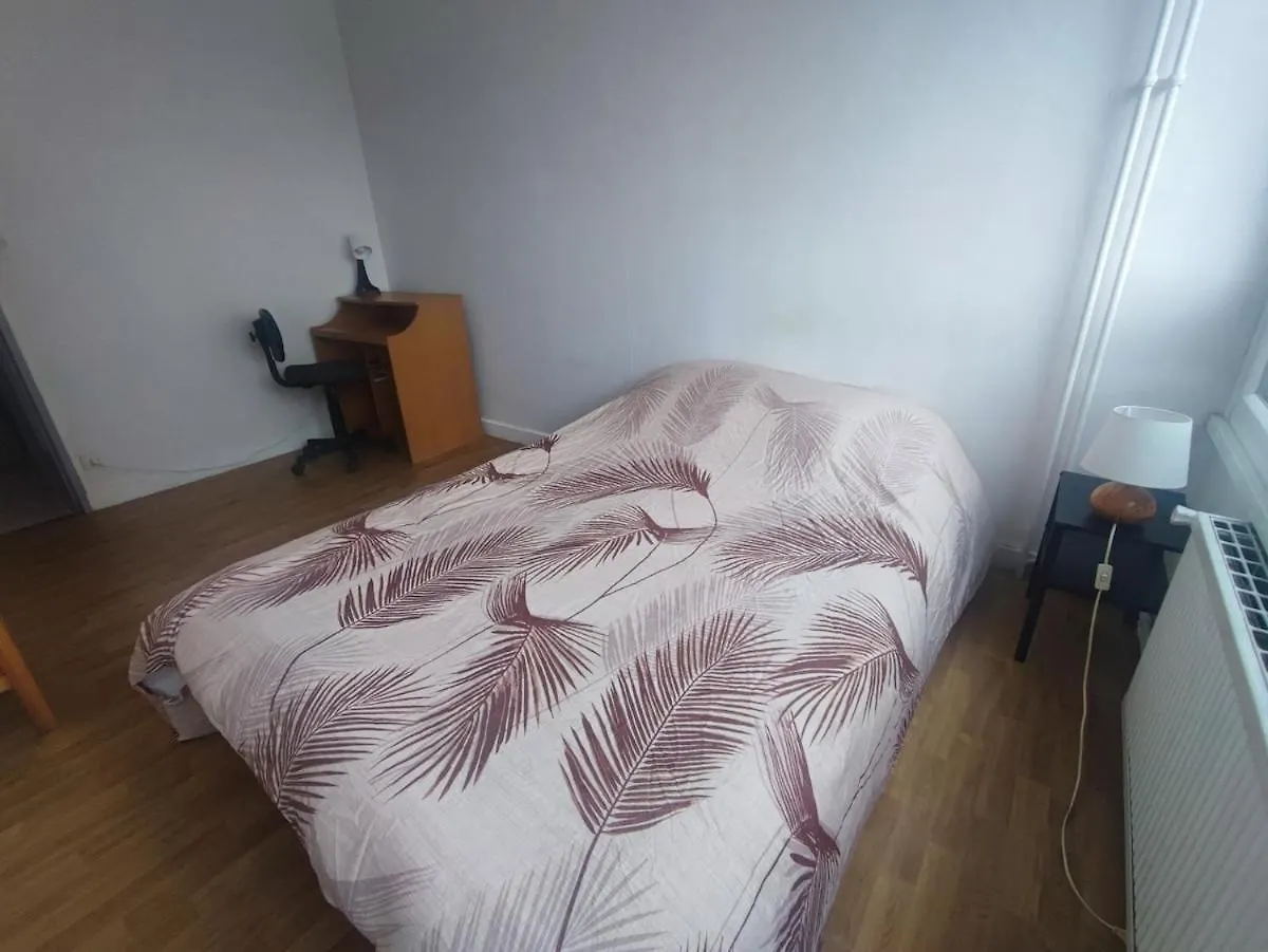 Apartment Grand Appartement Lumineux Et Central Lyon