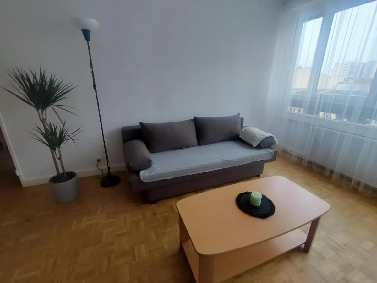 Grand Appartement Lumineux Et Central Lyon Apartment