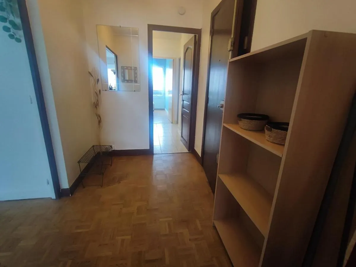 Grand Appartement Lumineux Et Central Lyon Apartment