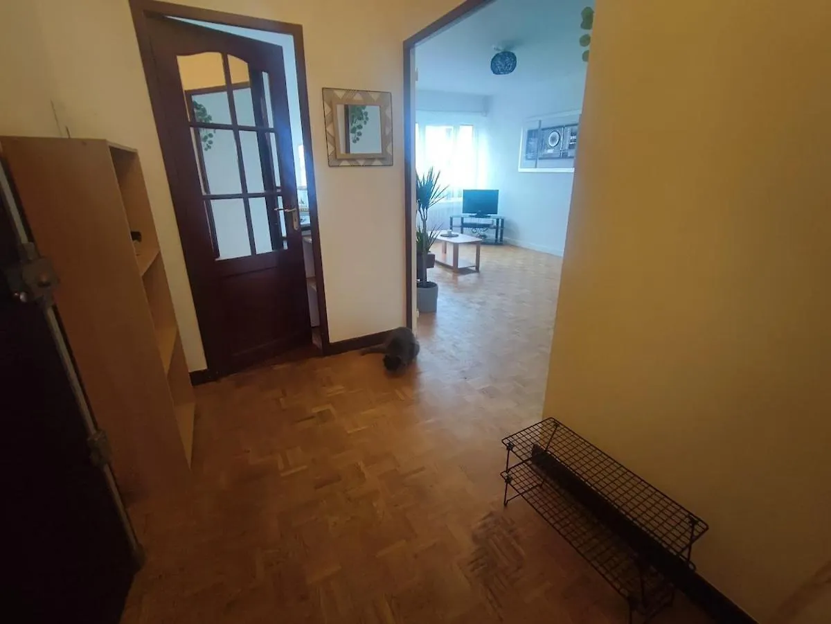 Apartment Grand Appartement Lumineux Et Central Lyon France